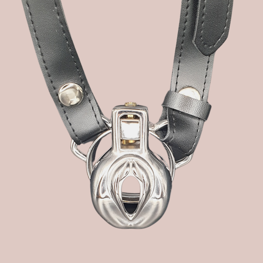 The Pussy Steel Chastity Cage