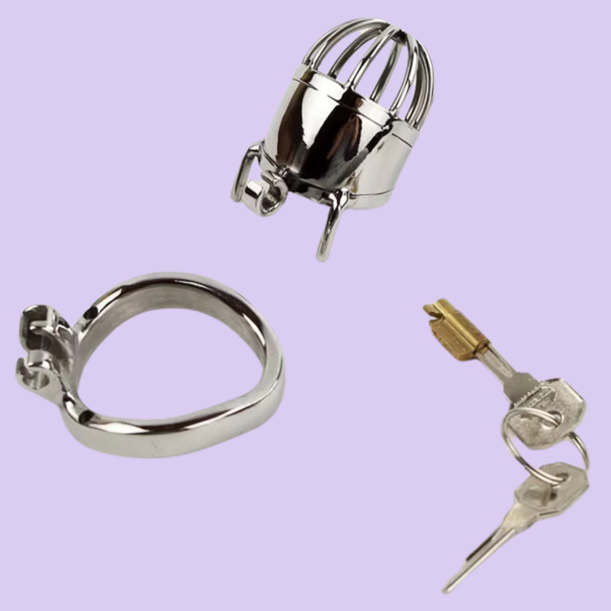 The elements that make up The Shaft Small chastity cage, the cage, the base ring, integral lock and two keys