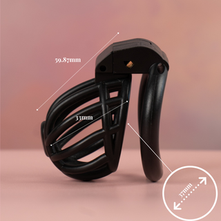 The Cobra Prince Albert Chastity Cage