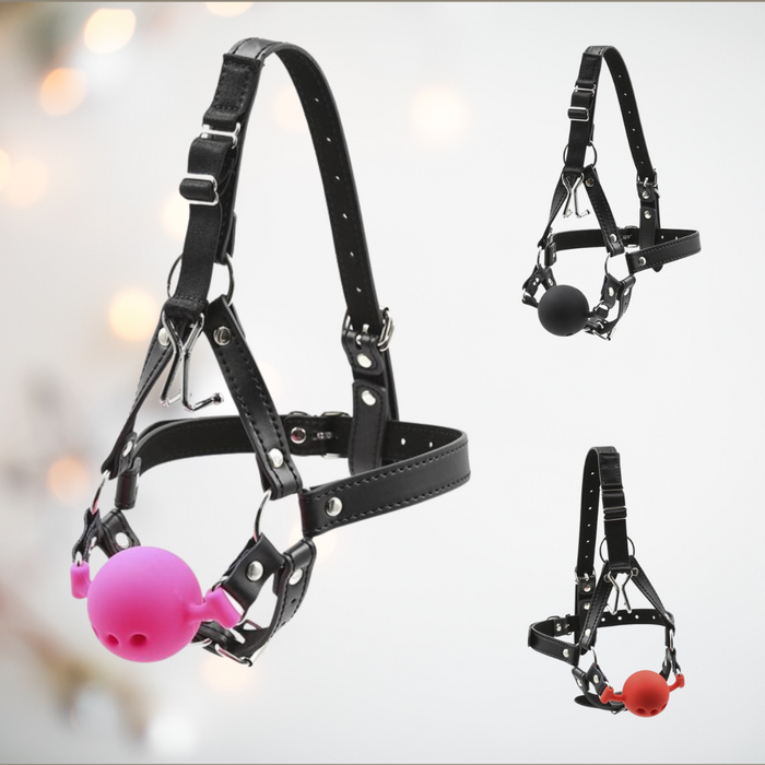 Head Harness With Nose Hook and Mouth Ball Gag