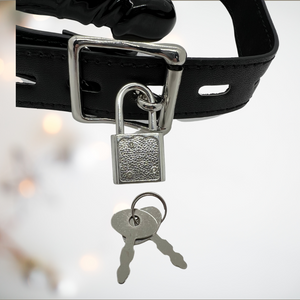 A close up of the padlock and keys that make the penis gag lockable.