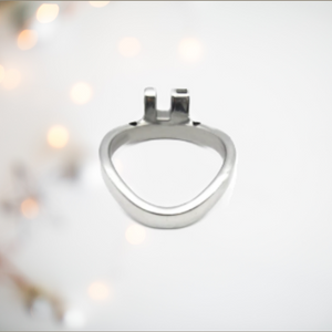 A single base ring designed to fit a metal chastity cage from House Of Chastity